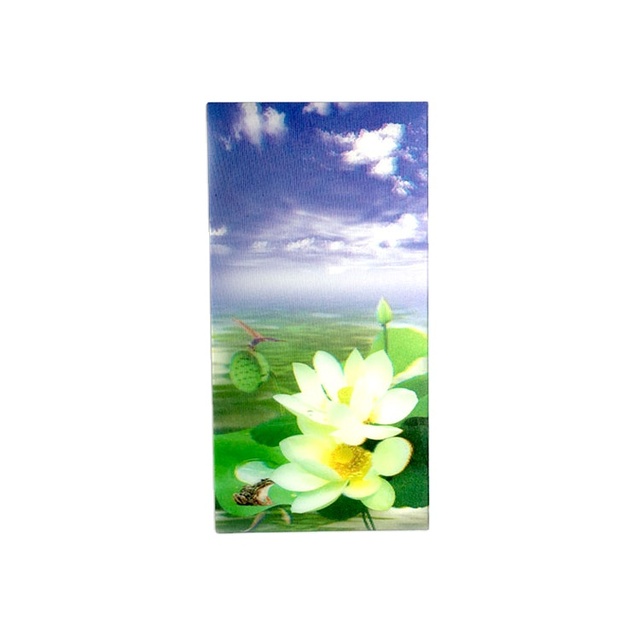 Customized 3D Lenticular Poster Printing Flip 3d Postcard Lenticular Animals 3D Lenticular Picture 3D Flip Pictures for Table