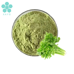 Factory Supply Natural Halal Certificate <strong>Celery</strong> <strong>Extract</strong> Powder <strong>Celery</strong> Juice Powder - Product Image 2