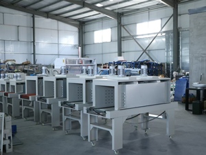 Precision Servo-Driven Packaging <b>Machine</b> with Touch Screen Interface Energy Efficient & Low Maintenance - Product Image 5