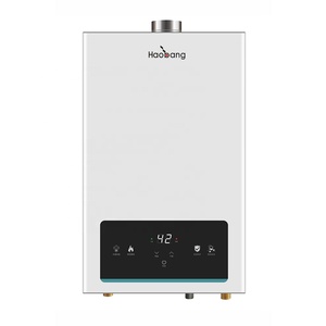 <span class=keywords><strong>Calentador</strong></span> de agua instantáneo de <span class=keywords><strong>gas</strong></span> <span class=keywords><strong>natural</strong></span> de <span class=keywords><strong>10</strong></span> <span class=keywords><strong>litros</strong></span> de buena calidad al por mayor para el hogar - Product Image 1