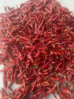 Piments rouges épluchés en vrac pour la transformation alimentaire et la vente en gros