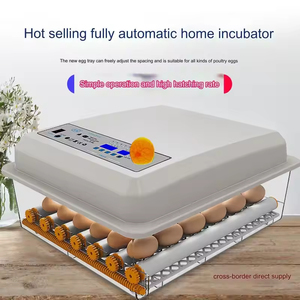 Nueva <span class=keywords><strong>Incubadora</strong></span> <span class=keywords><strong>de</strong></span> <span class=keywords><strong>Huevos</strong></span> <span class=keywords><strong>de</strong></span> Pollo Totalmente Automática, Mini <span class=keywords><strong>Incubadora</strong></span> Inteligente con Alta Tasa <span class=keywords><strong>de</strong></span> Eclosión - Product Image 4