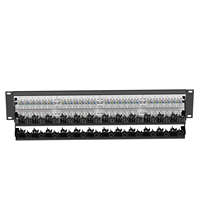Panneau de brassage réseau modulaire mural non blindé 48 ports RJ45 Cat5e Cat6 Cat6A UTP 2U 19 pouces avec barre arrière pour gestion de câbles