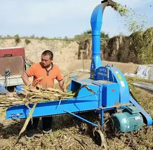 Tractor Aftakas Aangedreven Vee Schapen Feed Stro Chopper Molen Kaf Feed Cutter Machine