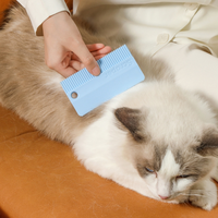 Brosse en silicone double face pour enlever les poils d'animaux, peigne de toilettage pour chiens et chats, grattoir à peluches pour canapé, tapis et vêtements - Vente en gros, personnalisable en usine