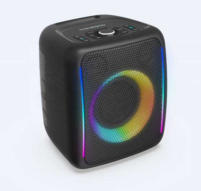 Big Party Speakers Outdoor DJ Portable  Speakers Wireless for Party Karaoke Speaker with Mic