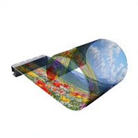 Pantalla LED Transparente de 240 mm, 4500cd, P8, para Carteles, Póster Digital, OEM, Pantalla Electrónica Flexible para Tiendas Minoristas