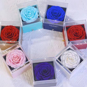 Nuovo regalo di san valentino ti amo collana 100 lingue incantato vera rosa conservata con Set regalo collana - Product Image 4