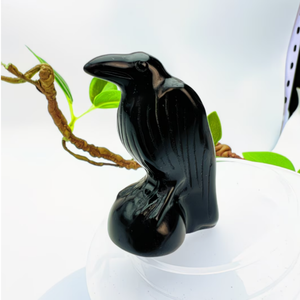 ราคาโรงงาน รูปปั้นอีกาหินออบซิเดียนธรรมชาติขนาด 5 ซม. ตุ๊กตาอีกาคริสตัลขนาดเล็ก แกะสลักนกจากอัญมณีขนาดเล็ก เครื่องประดับสไตล์โกธิคราคาถูก - Product Image 2