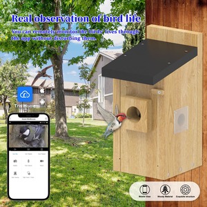 Cámara Profesional Inteligente con IA de 5MP para Nido de Pájaros, con Red Wifi y Panel Solar - Product Image 3