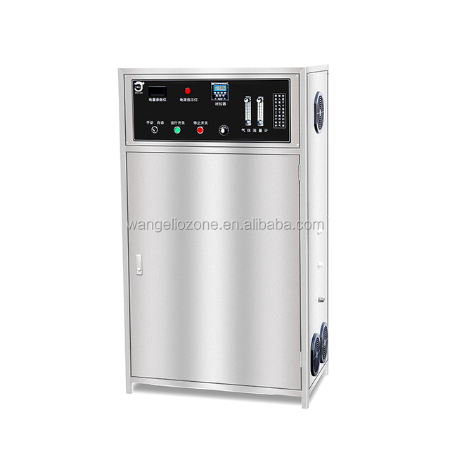 Longevity Household Industrial 100g Water Treatment Ozone Generator