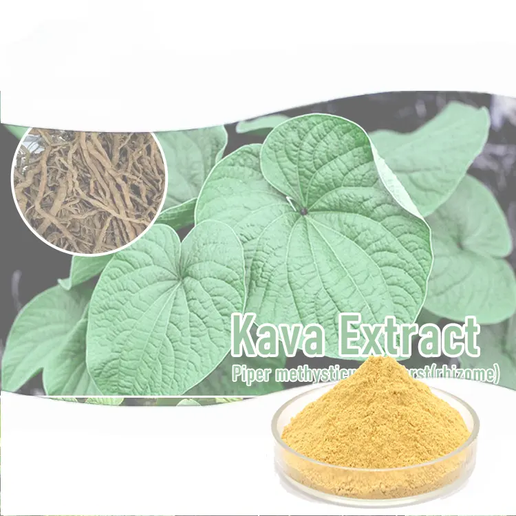 Fabricants Prix kava kava racine herbe extrait 30% 70% poudre extrait naturel de kava