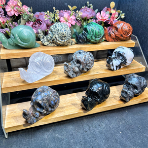 Kindfull, gran oferta, cristales naturales de alta calidad, mezcla de materiales, <span class=keywords><strong>caracol</strong></span> con calaveras para Decoración - Product Image 3