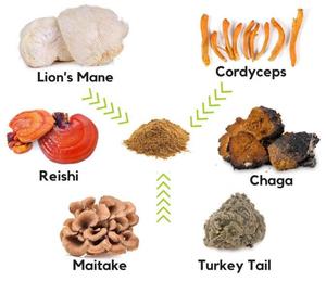 8 in 1 organik karışık mantar özü tozu aslanlar Mane, Reishi, Cordyceps, <span class=keywords><strong>Chaga</strong></span>, Shiitake, Maitake - Product Image 3