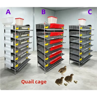 Système de cages modulaires pour cailles avec structure en H pour les installations d'élevage avicole à haute densité