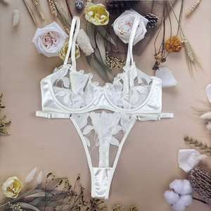 Heiß begehrte Dessous: Transparentes Mesh-Set mit floral besticktem BH und Höschen, 2-teilig, für Damen - Product Image 6