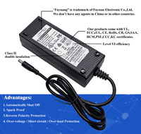 Fuyuang Custom logo E-bike E-scooter Robot Certification CE GS UL KCC SAA PSE 25.5V 2A 3A 5A 8A 10A 7S Chargeur de batterie LifePo4