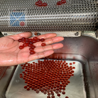 Machine à pop-up automatique de petite capacité, machine de fabrication de perles de tapioca et de thé à bulles