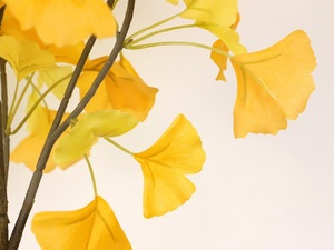 Producto Popular: Árbol de <span class=keywords><strong>Ginkgo</strong></span> Artificial Simulado, Árbol Artificial en Maceta para Decoración de Paisajes Exteriores - Product Image 3