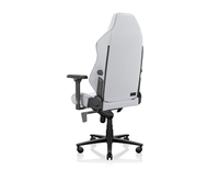 Fauteuil de jeu AJUNION OEM ODM Support lombaire à 4 voies Chaise d'ordinateur Oreiller magnétique en mousse à mémoire de forme Chaise de joueur Accoudoirs 4D entièrement en métal