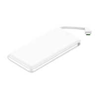 C1013 PD20W 22.5W Chargeur rapide, batterie externe, câble Type-C, double USB, chargeur portable, batterie Li-polymère 10000mAh