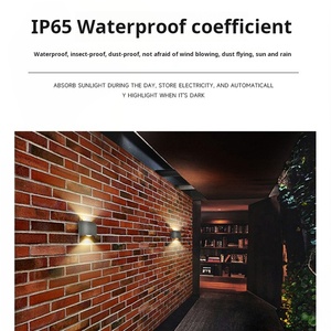 Lampu Dinding LED Luar Ruangan Berperingkat IP65 untuk Taman dan Halaman, Pencahayaan Dekoratif Atas/Bawah - Product Image 4