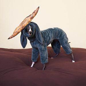 设计师狗定制宠物服装。冬季可拆卸兔毛睡衣。高导电纤维超厚柔软羊毛衫 - Product Image 5