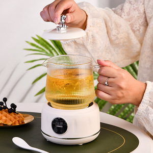 Mini Electric Kettle Glass Liner 1L Keep Warm Automatic Shut Off For Office Tea Brewing - Product Image 2