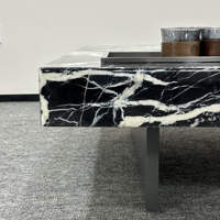 Table basse en pierre moderne Lovein avec base en acier inoxydable - Haute qualité, écologique, facile à nettoyer, meubles de salon, garantie 1 an