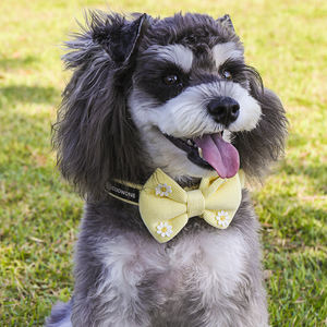 Set tali kekang anjing pribadi mewah dapat disesuaikan Logo khusus ramah lingkungan bunga aster kuning kalung tali hewan peliharaan tanpa tarik luar ruangan - Product Image 3