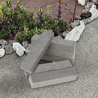 Handheld Strong Bimsstein Stein Schüssel reiniger Langlebiger Toiletten schüssel reiniger zum Entfernen von Flecken im Pool Schmutz