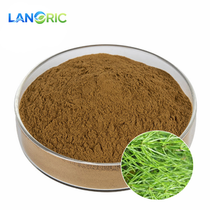 Порошок экстракта конского копытца 100% натуральный, от производителя - Product Image 2