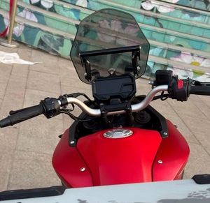 Motocicleta de Turismo Retro Vintage VOGE <span class=keywords><strong>300DS</strong></span> (Wuji <span class=keywords><strong>300DS</strong></span>) - ABS, Gran Distancia al Suelo, Gasolina, Lujo Clásico |   Precio de Fábrica Wuji - Product Image 3