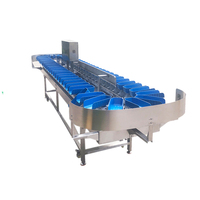 Chili Knoflook Olijf Maïs Pinda Sinaasappelen Kersenvis Avocado Wassen Palm Dadelfruit Groentegewicht Sorteermachine