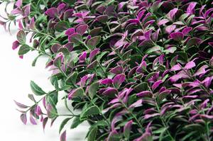 Panneau mural en plastique de haute qualité pour gazon vert, plante artificielle, panneaux de bohémien, plante pour décoration extérieure, 12 pièces - Product Image 5