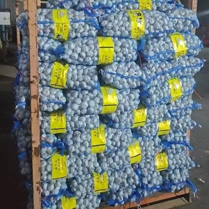 Ajo Blanco Fresco de 4.5-7.0cm con Calidad Premium, Proveedor Confiable de Exportación de China <span class=keywords><strong>para</strong></span> Importadores a Granel en Todo el Mundo - Product Image 6