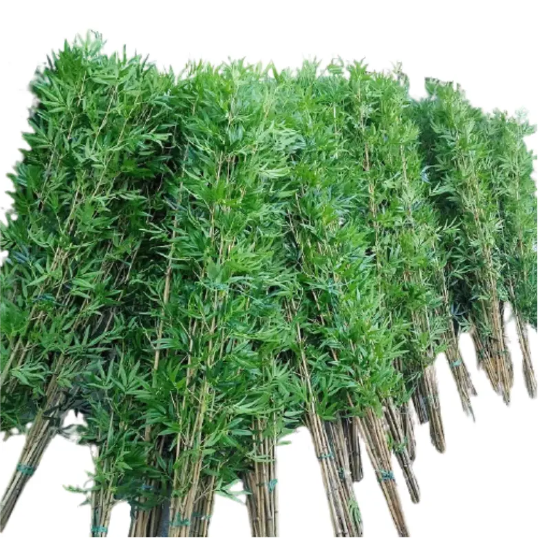 2020年最新のラッキー竹人工植物屋内屋外フェンス風景装飾用