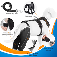 HWK-0012 # jambe récupération manchon orthèse réduit les douleurs articulaires chien genouillère orthopédique genouillère protecteur