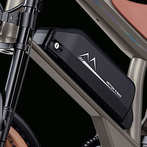 Bicicleta Eléctrica Urbana Xinuonuo con Motor Integrado en el Buje Trasero, Batería de Litio de 48V, Neumáticos Anchos de Alta Velocidad - Product Image 6