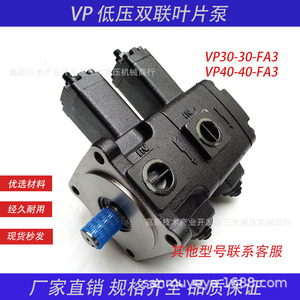Pompe à huile à double palette basse pression Juntian VP20 20 FA3 VP30 30 FA3 VP40 40 FA3 pour système hydraulique en fonte - Product Image 5