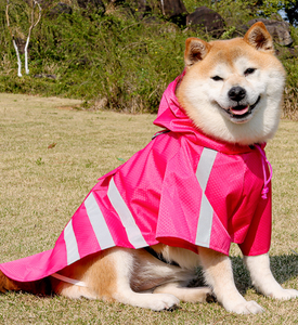 Imperméable pour chien, <span class=keywords><strong>cape</strong></span> imperméable pour animaux de compagnie avec bandes réfléchissantes pour les sorties par temps de <span class=keywords><strong>pluie</strong></span>, poncho à capuche pour chiot, été - Product Image 4