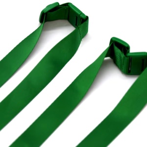 Một Màu bạc hà màu xanh lá cây không in đồng bằng <span class=keywords><strong>polyester</strong></span> dây Sling dây webbings nhựa khóa dinh dưỡng trung tâm sử dụng - Product Image 2