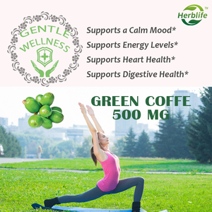 Cápsulas de Café Verde OEM ODM con Extracto de Té Verde - Apoyo para la Piel y el Corazón, Control de Peso, Energía Diaria, Vegano - Product Image 2