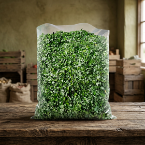Alta calidad seca MORINGA OLEIFERA hojas y fabricante de polvo en VIET NAM - Product Image 3