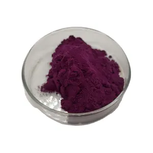 Elderberry Extract Powder Food Grade Elderberry Fruit Powder 25% Anthocyanins