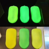 Poudre phosphorescente longue durée Prestige Glow in the Dark, non toxique, photoluminescente, prix imbattables, pigment pour peinture automobile phosphorescente