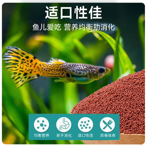 NaiChong <b>Fish</b> <b>Food</b> 50g Floating <b>Pellets</b> For Small Ornamental <b>Fish</b> - Product Image 5