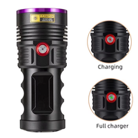 Lampe de poche UV portable puissante 365nm lumière noire lampe de poche UV haute puissance rechargeable par USB pour détecteur d'urine pour animaux de compagnie