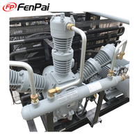 Fenpai Équipée Double Air Refroidissement Piston Compresseur d'air/Propulseur Pour La Collecte De Gaz À haute pression