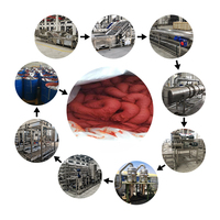 Automatische Industriële Grote Tomatenpuree Pure Fruitsaus Plant Tomatenketchup Maken Machine Tomatenpuree Productlijn